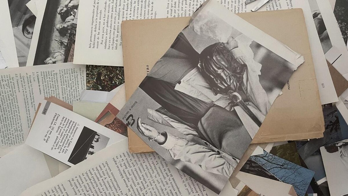 Images The Stendhal Shop