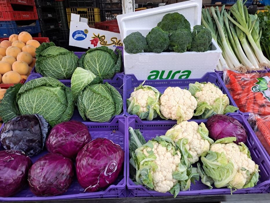 Images Frutas y Verduras Cruz Moreno