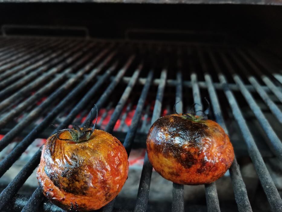 Images Hornos de Brasa HBE