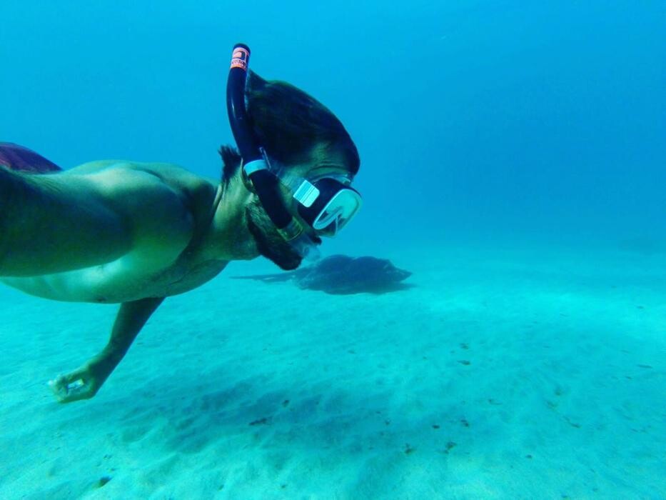 Images RODA AZUL, S.L.