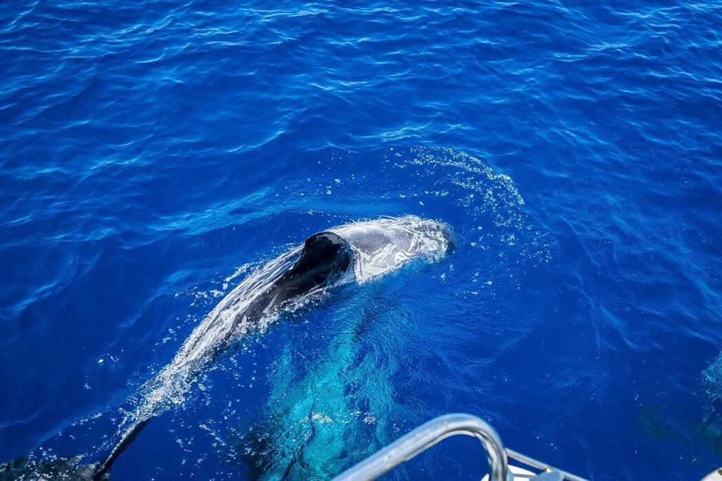 Images RODA AZUL, S.L.