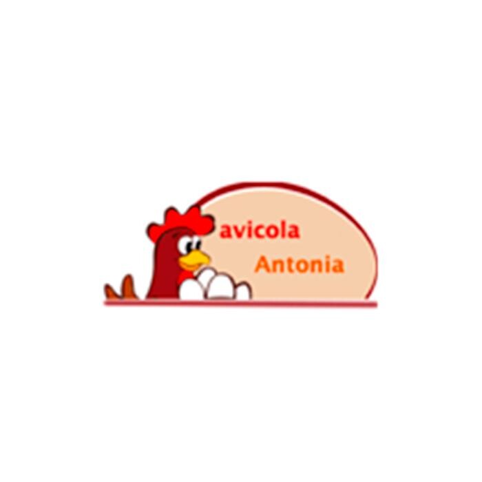 Avícola Antonia Logo