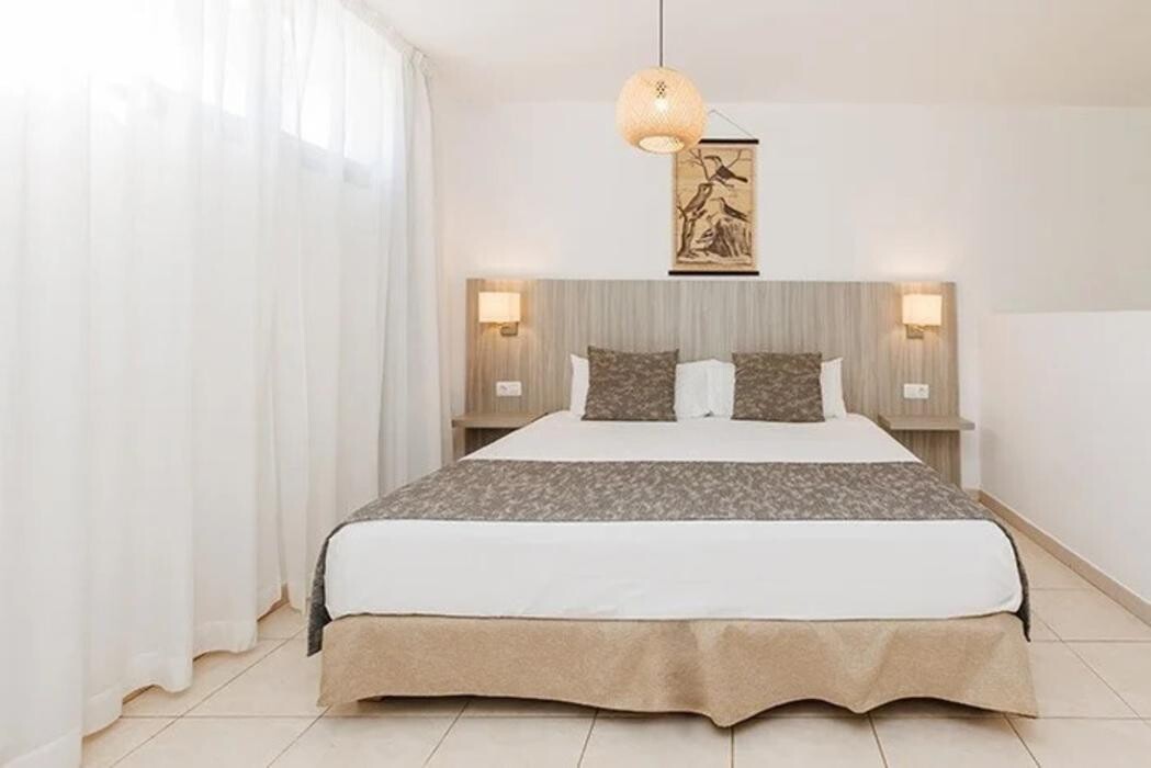 Images O7 Aloe Corralejo