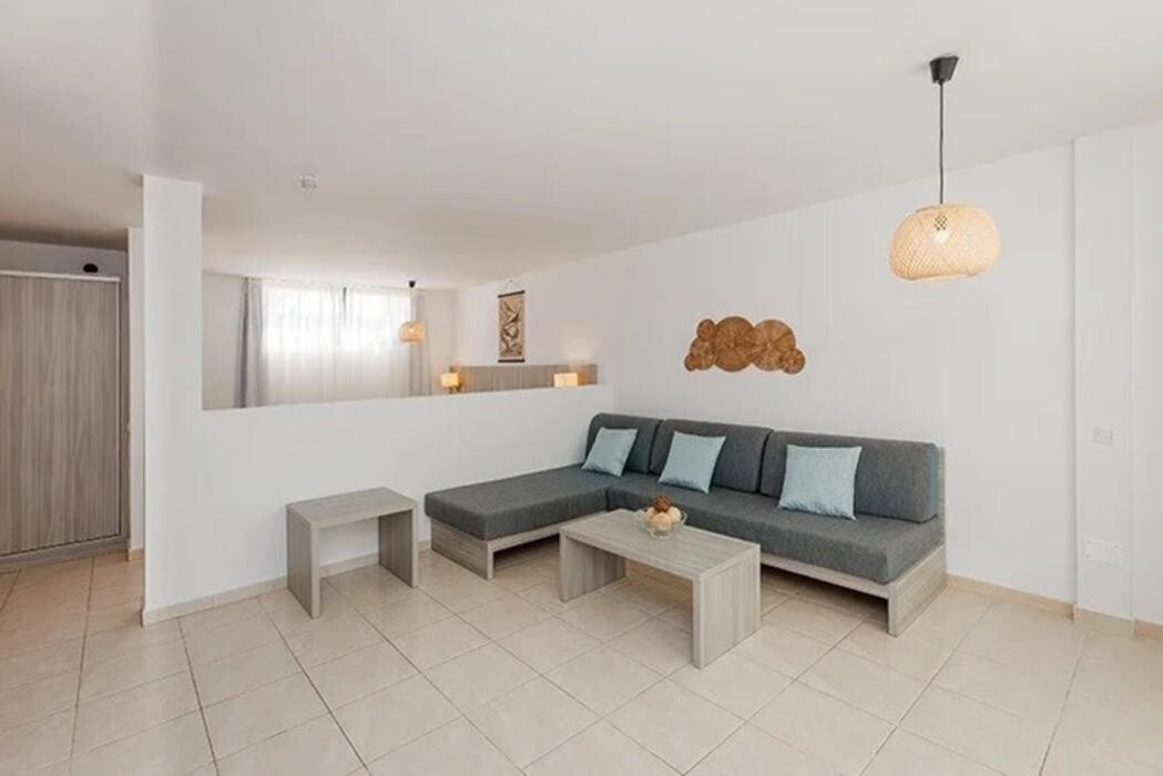 Images O7 Aloe Corralejo