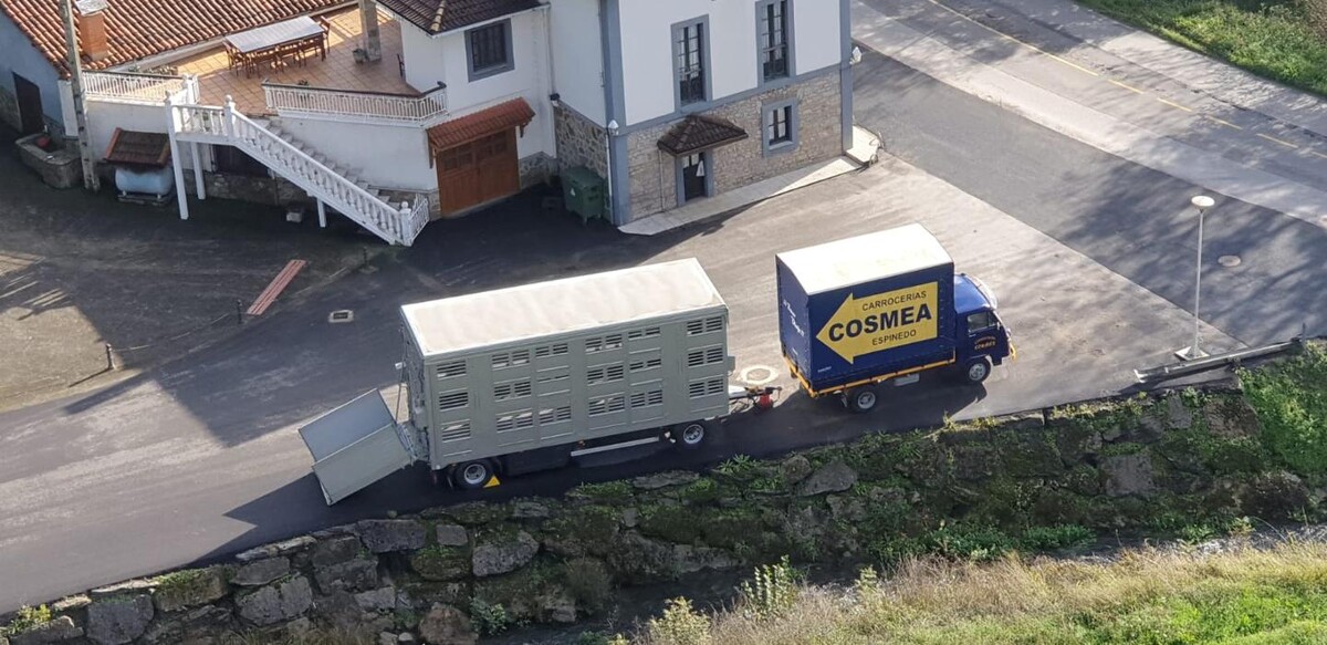 Images Cosmea Granda S.L.