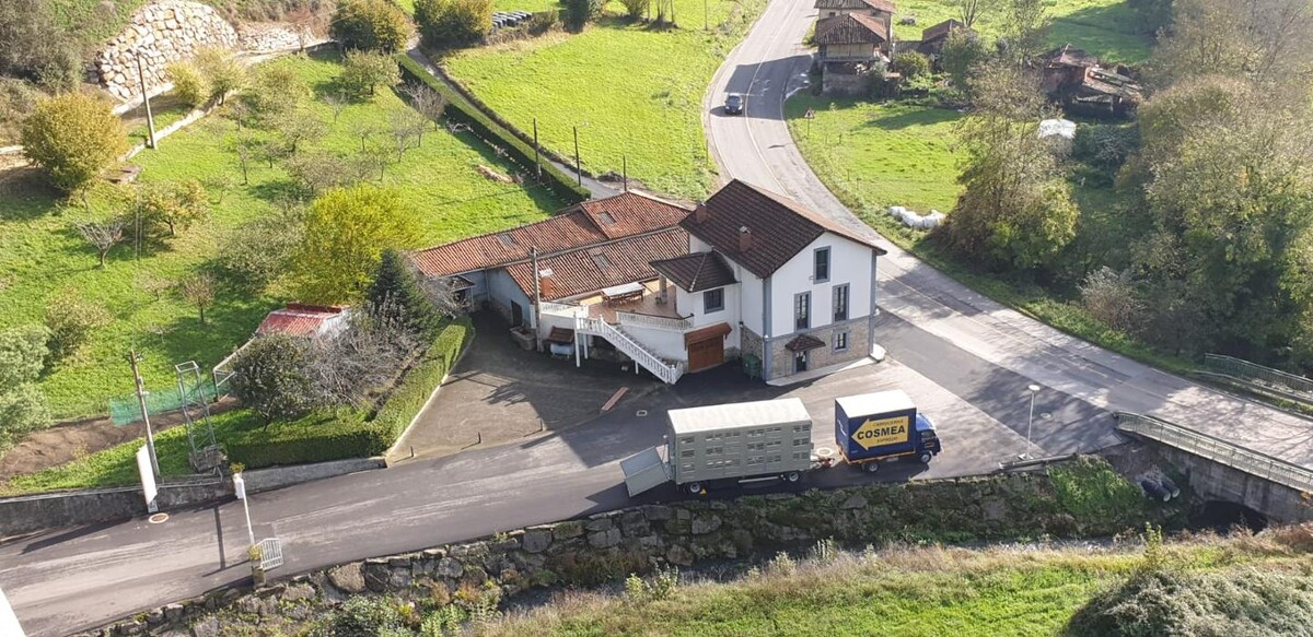 Images Cosmea Granda S.L.