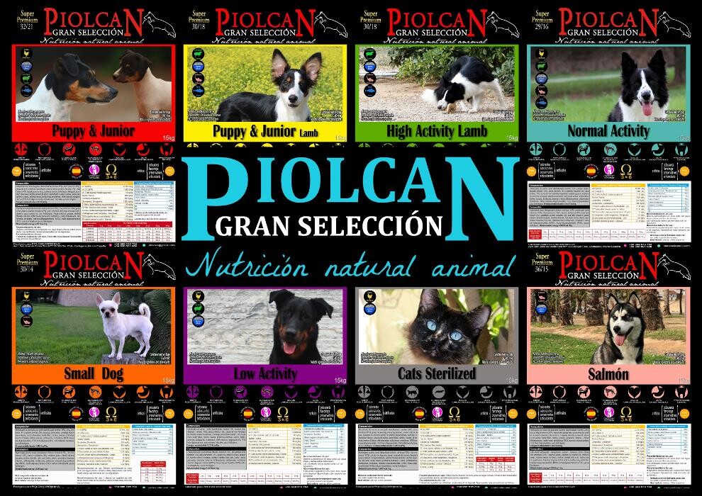 Images Piolcan Adiestramiento Canino y centro de formación