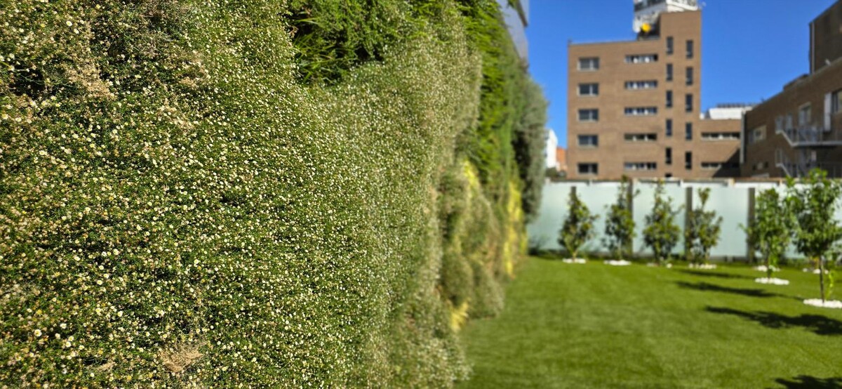 Images Residencia de Ancianos Simancas, Madrid | VITALIA HOME