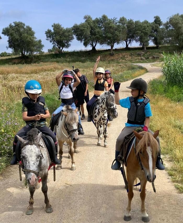 Images La Saga Horseball Team