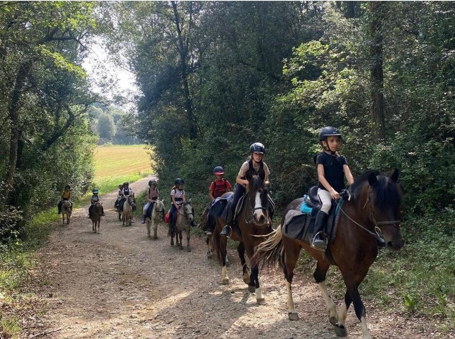 Images La Saga Horseball Team