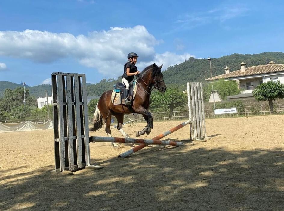 Images La Saga Horseball Team