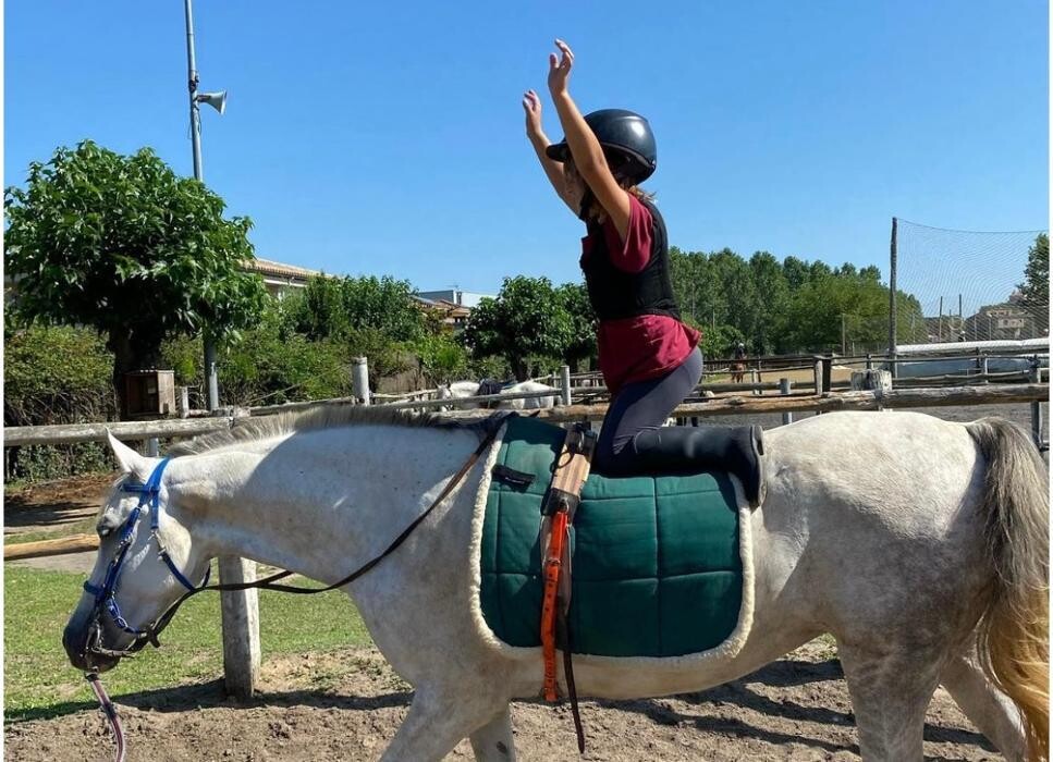 Images La Saga Horseball Team