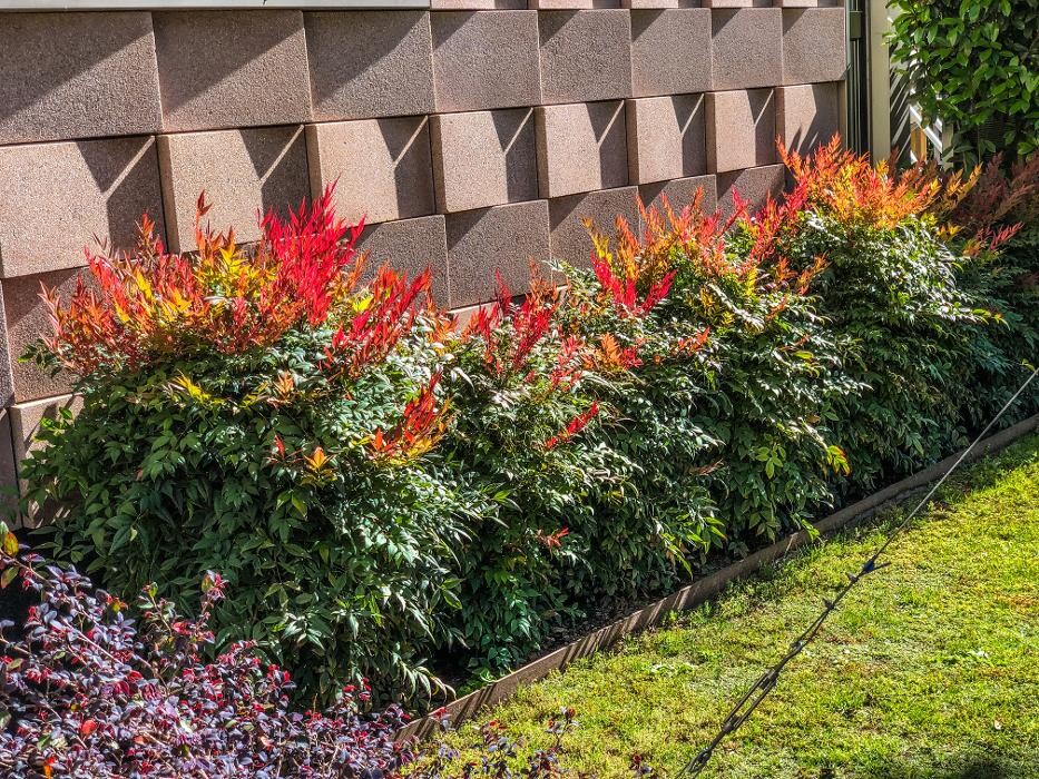 Images Serveis de Jardineria El Jardiner d'Aquí