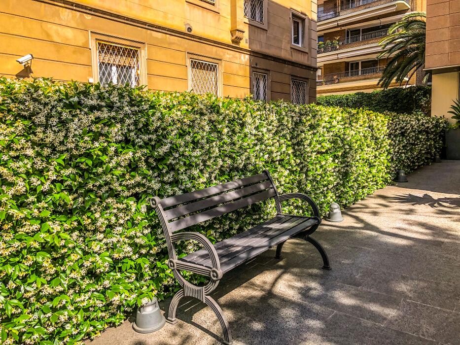 Images Serveis de Jardineria El Jardiner d'Aquí