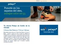 Website Screenshot Oficina de Seguros Pelayo