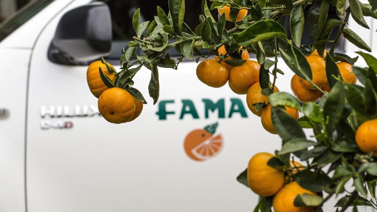 Images Fama