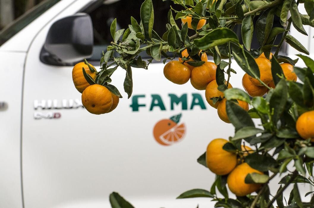 Images Fama