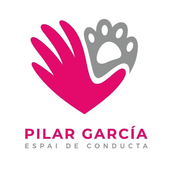 Images PILAR GARCIA ESPAI DE CONDUCTA