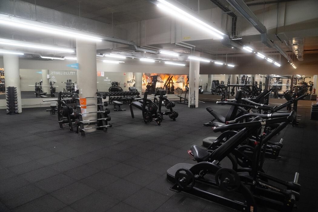 Images Gimnasio VivaGym Magoria