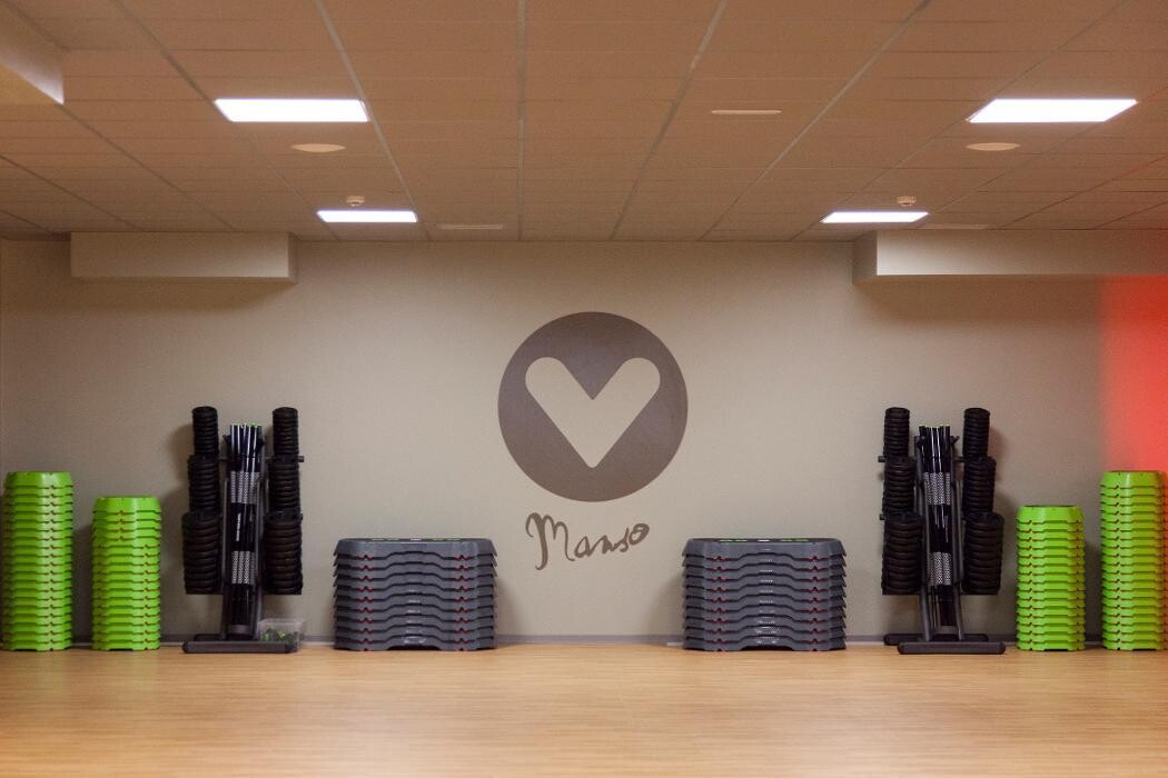 Images Gimnasio VivaGym Manso