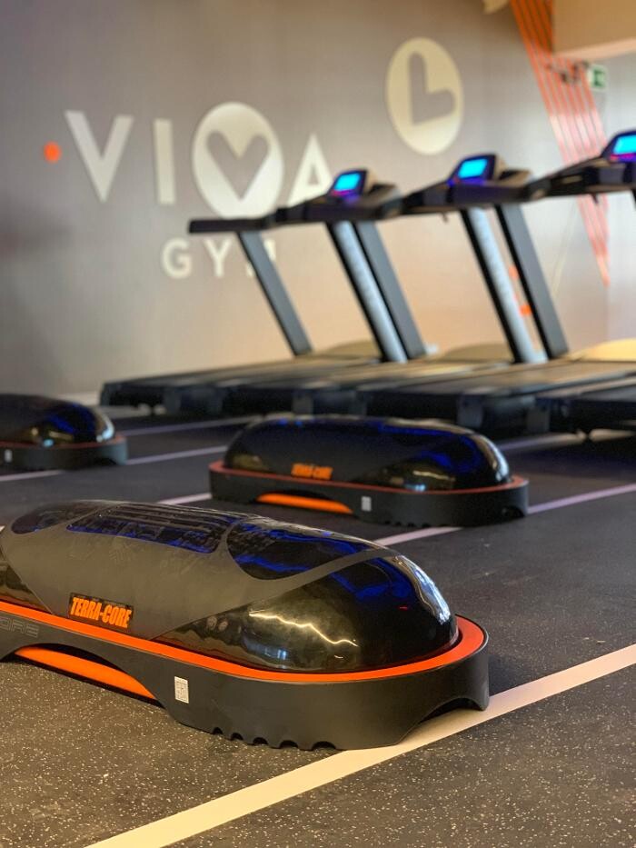 Images Gimnasio VivaGym Manso