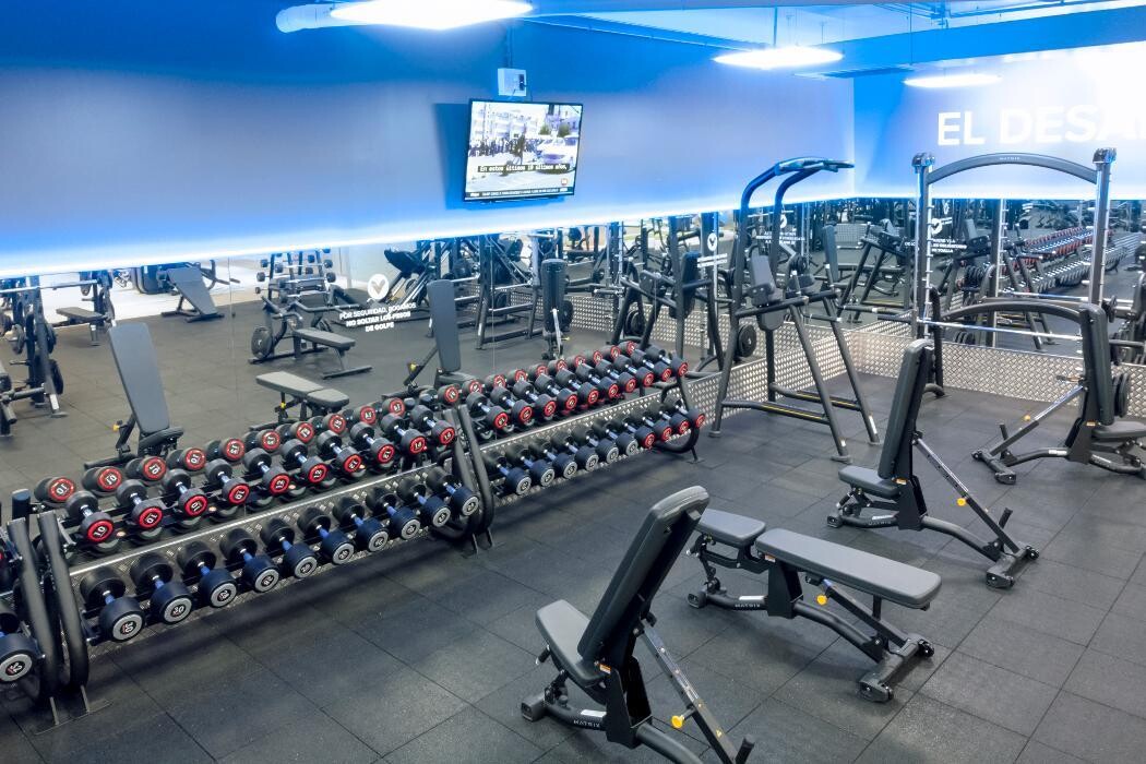 Images Gimnasio VivaGym Cánovas