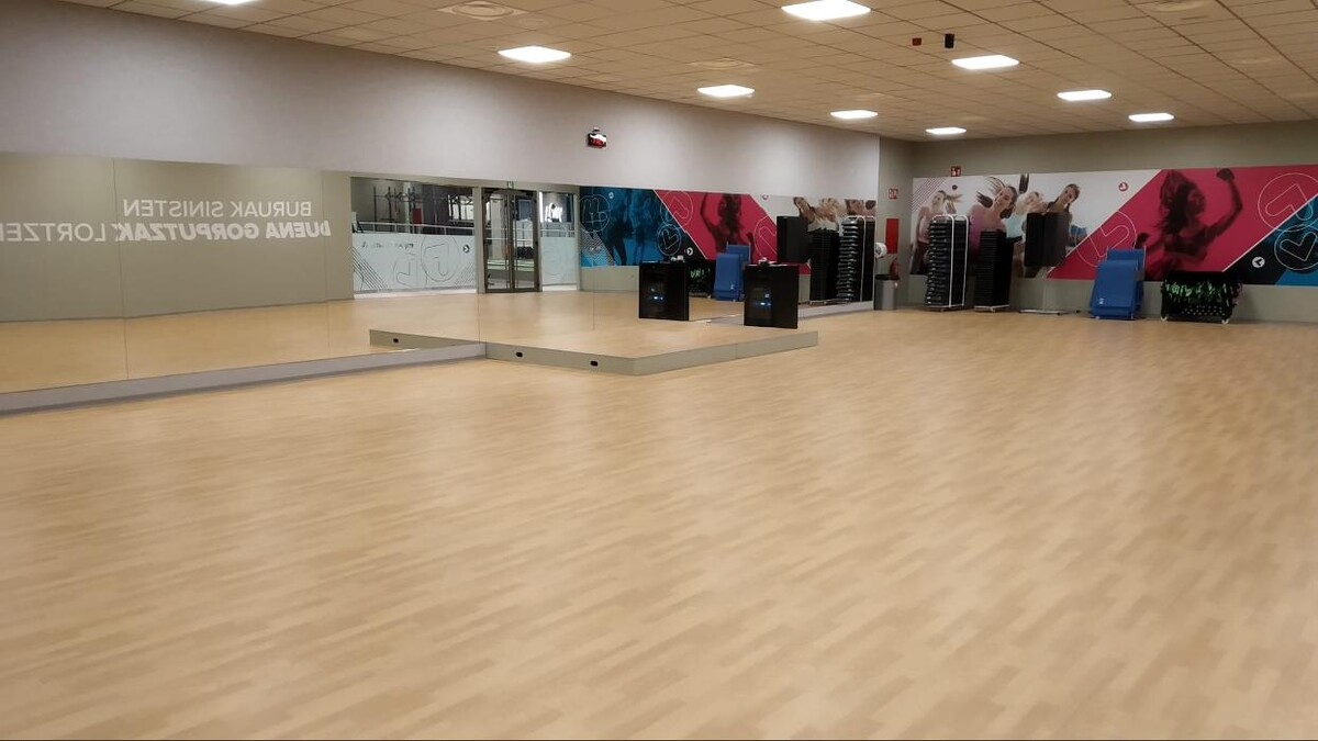 Images Gimnasio VivaGym Artea