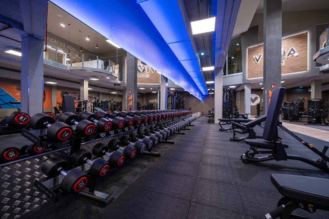 Images Gimnasio VivaGym Artea