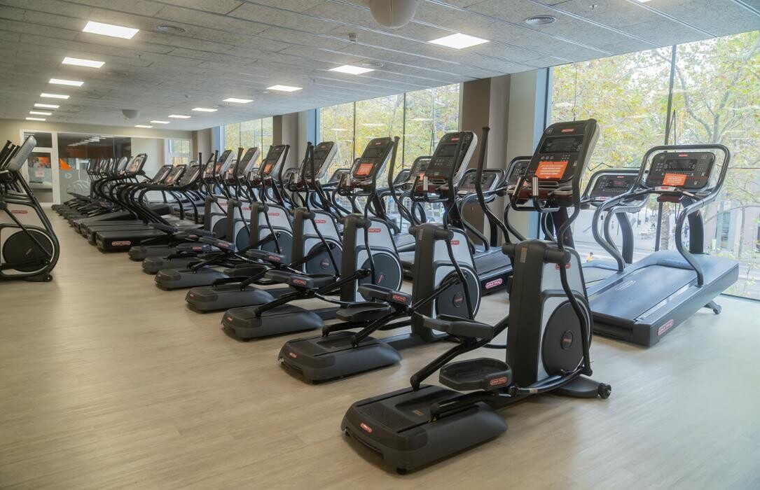 Images Gimnasio VivaGym Gloriès