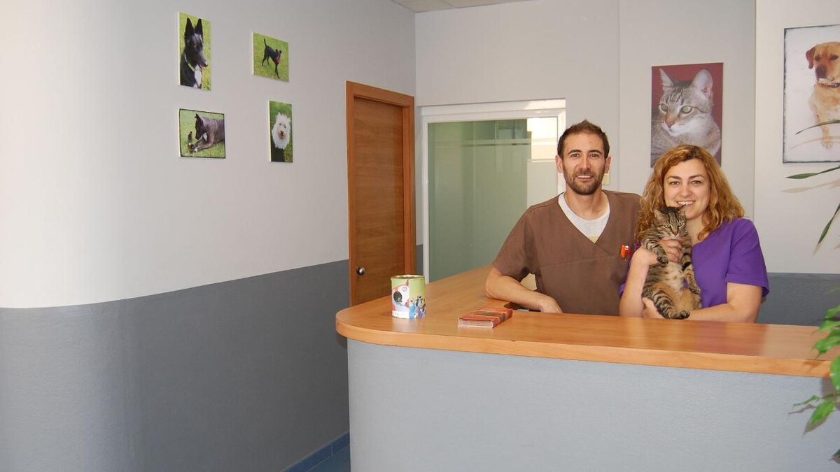 Images Aurora Centre Veterinari