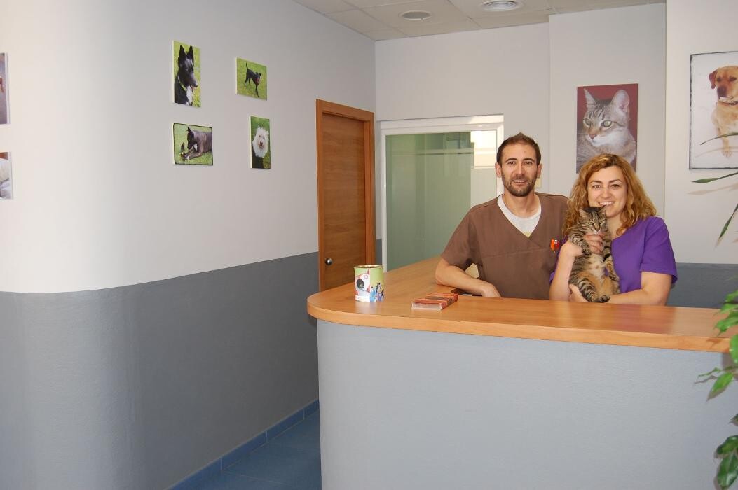 Images Aurora Centre Veterinari