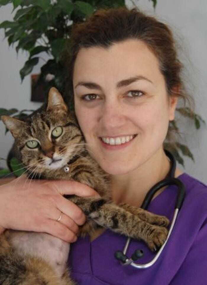 Images Aurora Centre Veterinari