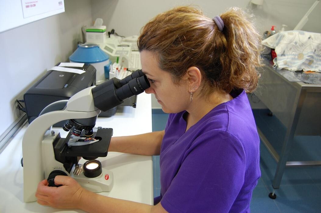 Images Aurora Centre Veterinari