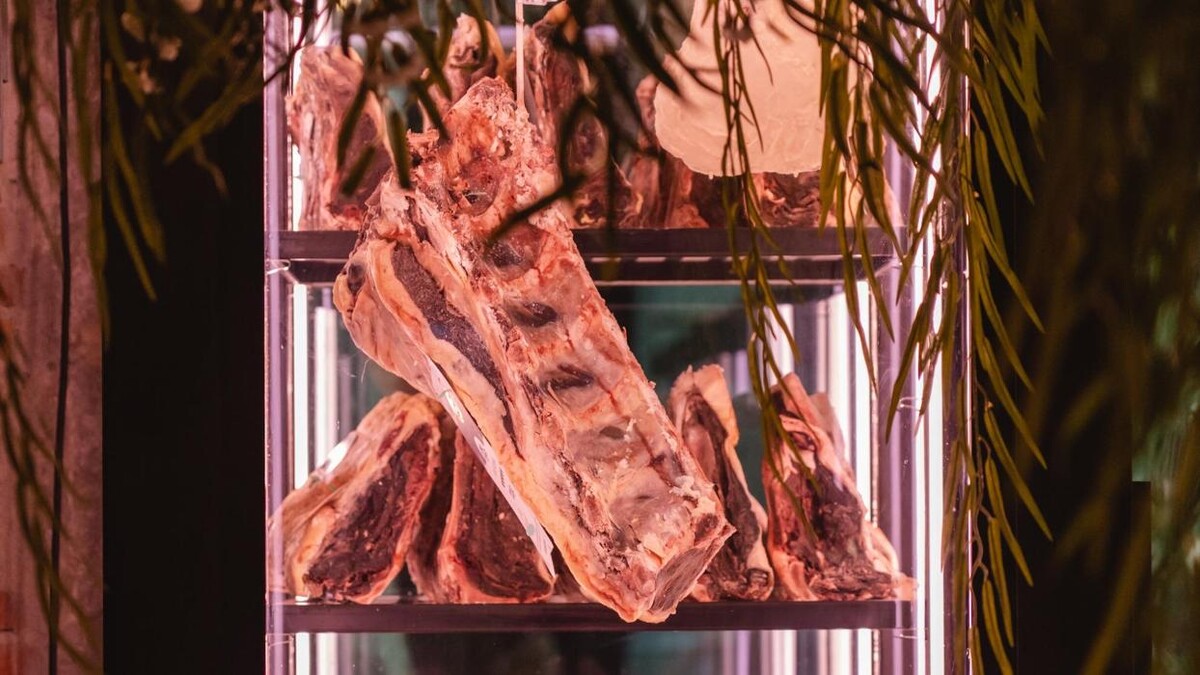 Images Carnal Steak House
