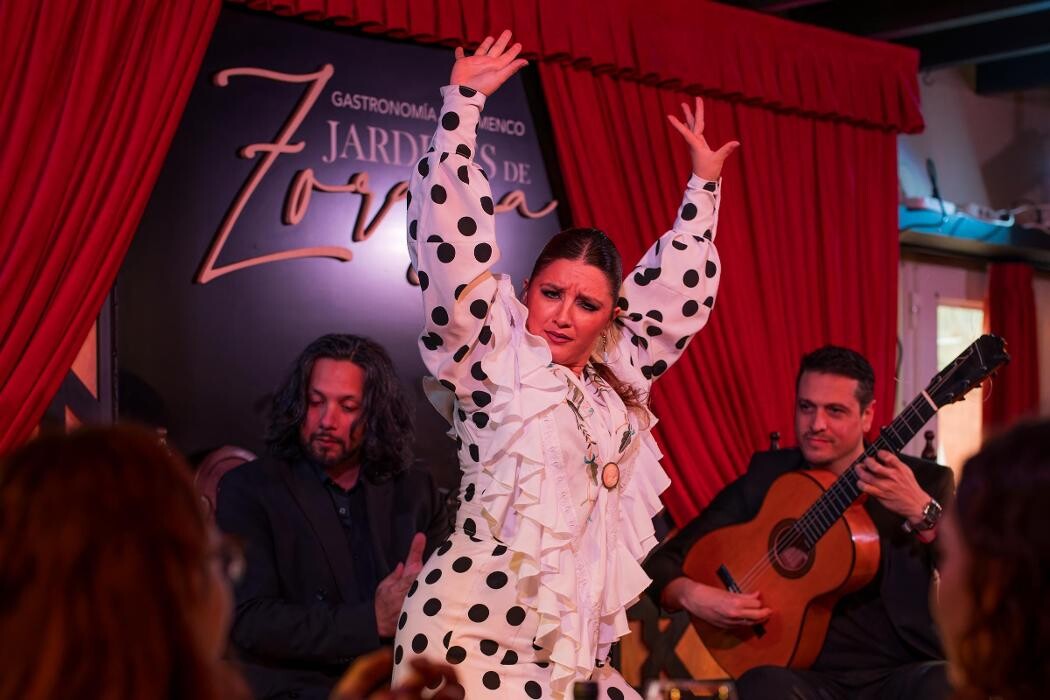 Images Flamenco Granada - Tablao Jardines de Zoraya