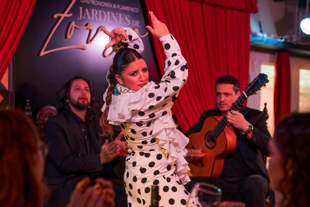 Images Flamenco Granada - Tablao Jardines de Zoraya
