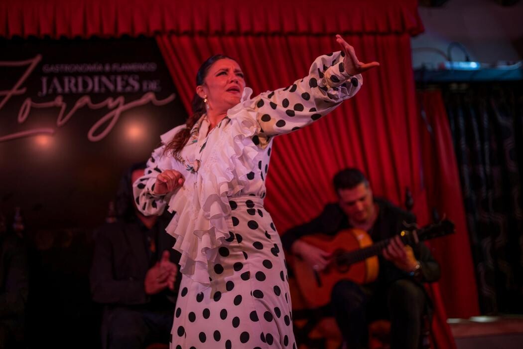 Images Flamenco Granada - Tablao Jardines de Zoraya