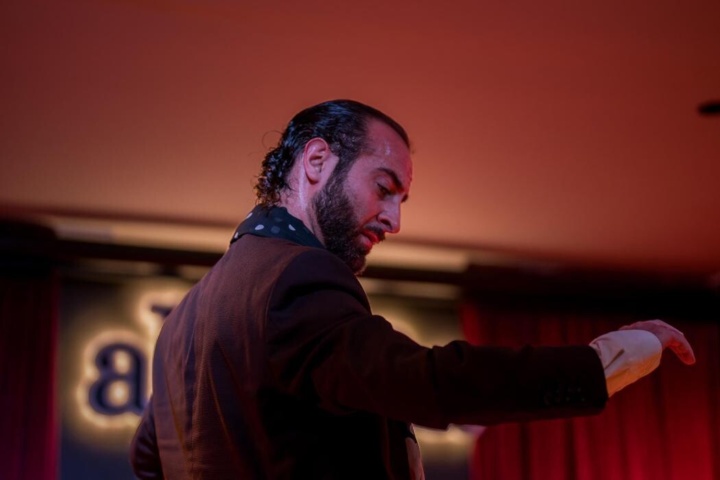Images Alegría Flamenco y Gastronomía