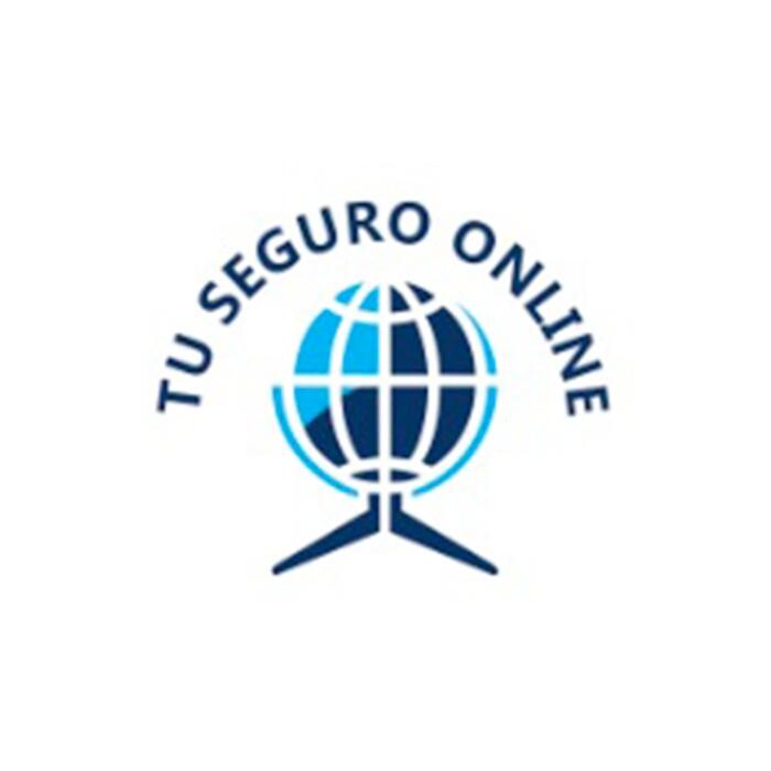 Tu Seguro Online Logo