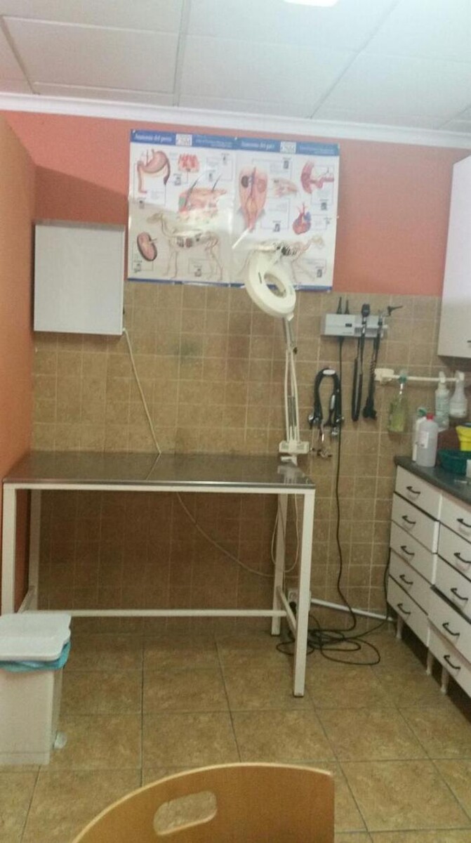 Images Centro Veterinario Ifach