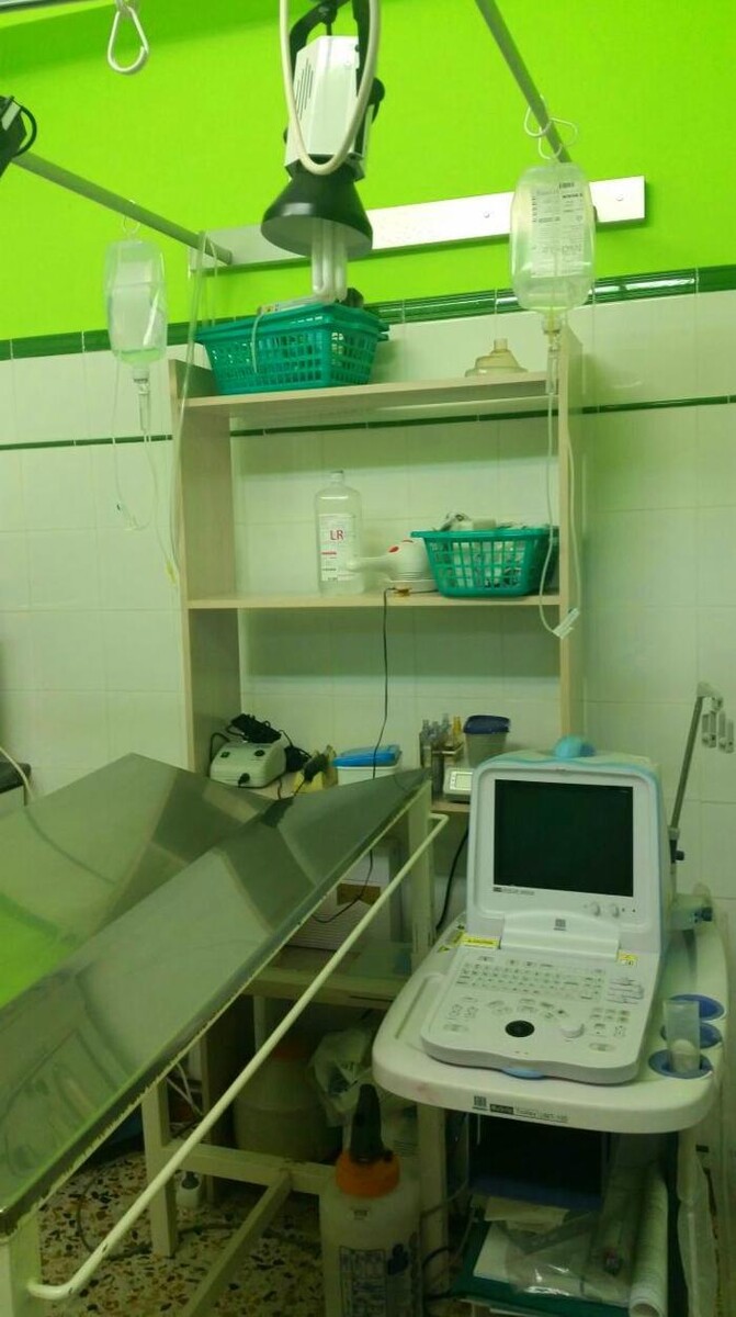 Images Centro Veterinario Ifach