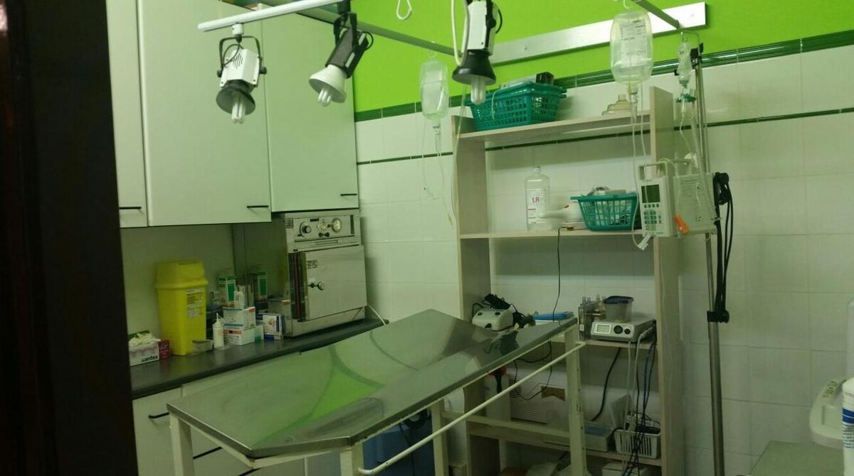Images Centro Veterinario Ifach