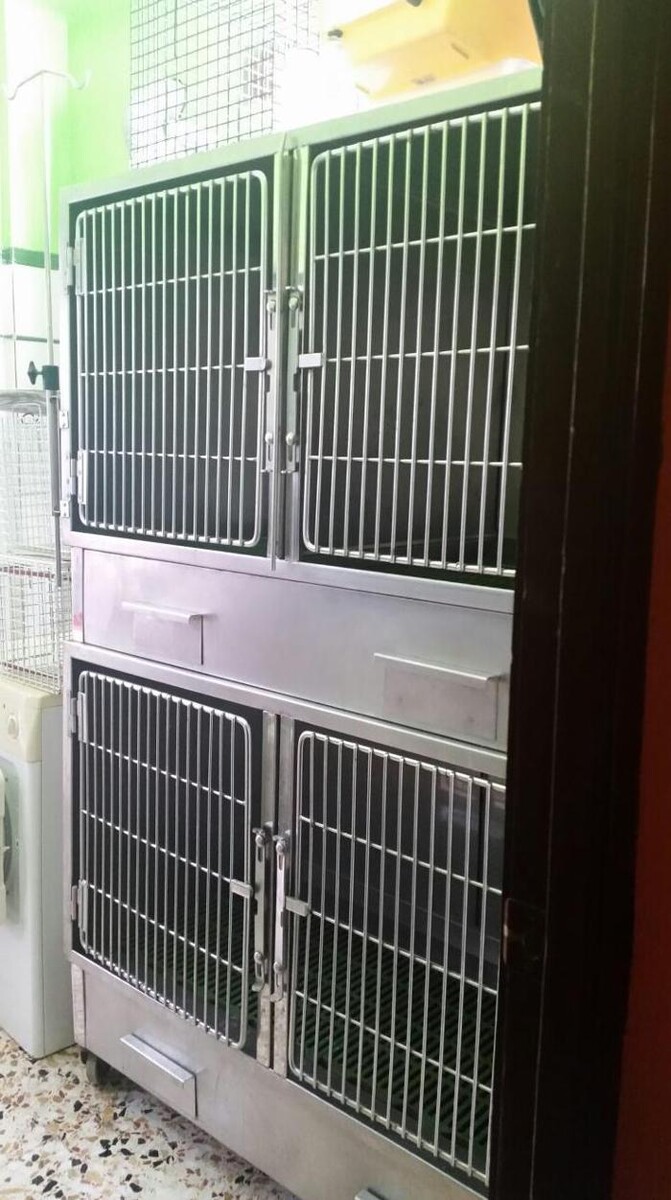 Images Centro Veterinario Ifach