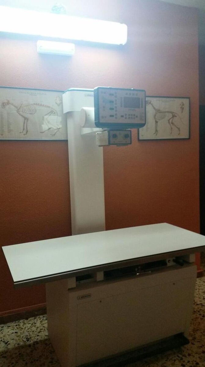 Images Centro Veterinario Ifach