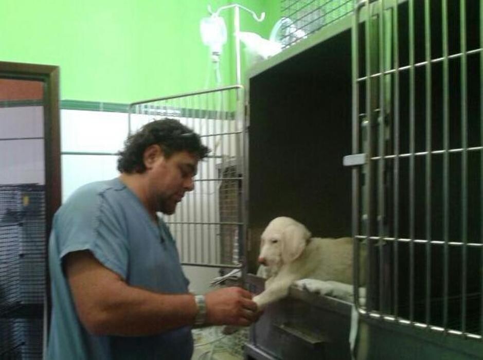 Images Centro Veterinario Ifach
