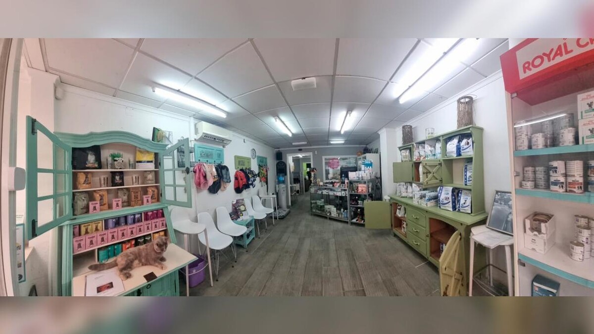 Images Centro Veterinario Ifach