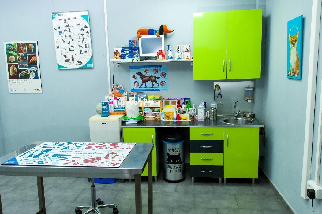 Images CENTRO VETERINARIO FERVET