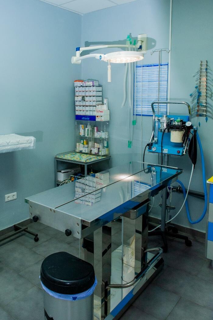 Images CENTRO VETERINARIO FERVET
