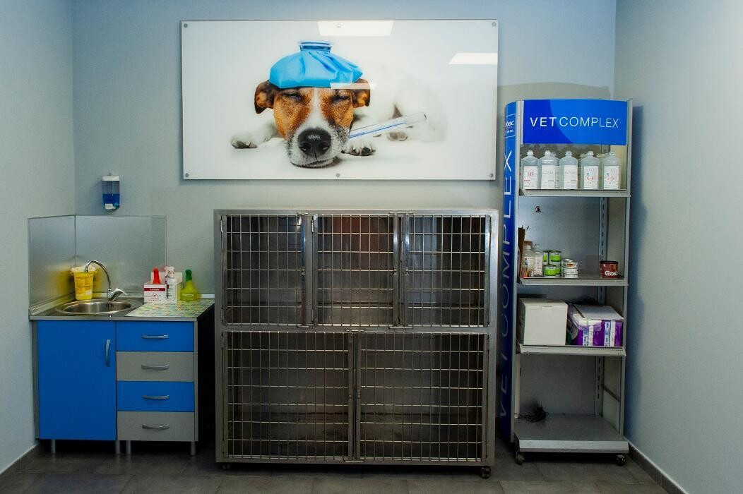 Images CENTRO VETERINARIO FERVET