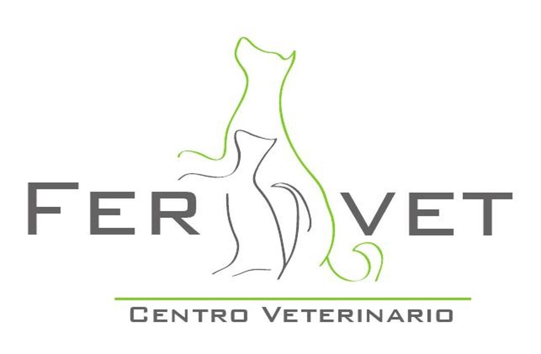 Images CENTRO VETERINARIO FERVET